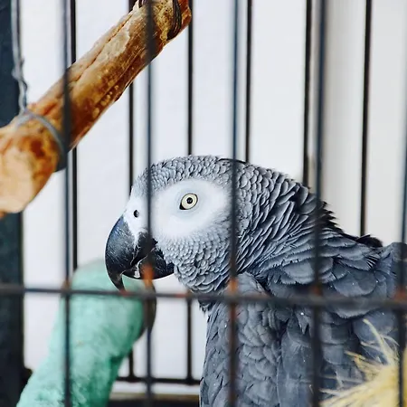 Rizieri 3* Santa Maria di Leuca